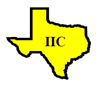 IIC Finance picture