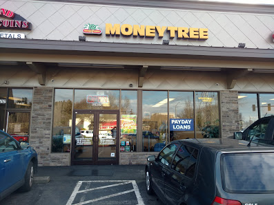 Moneytree picture